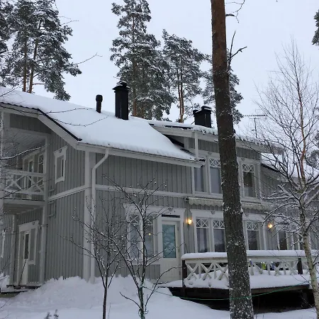 Nordic Lights