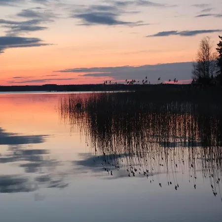 Nordic Lights